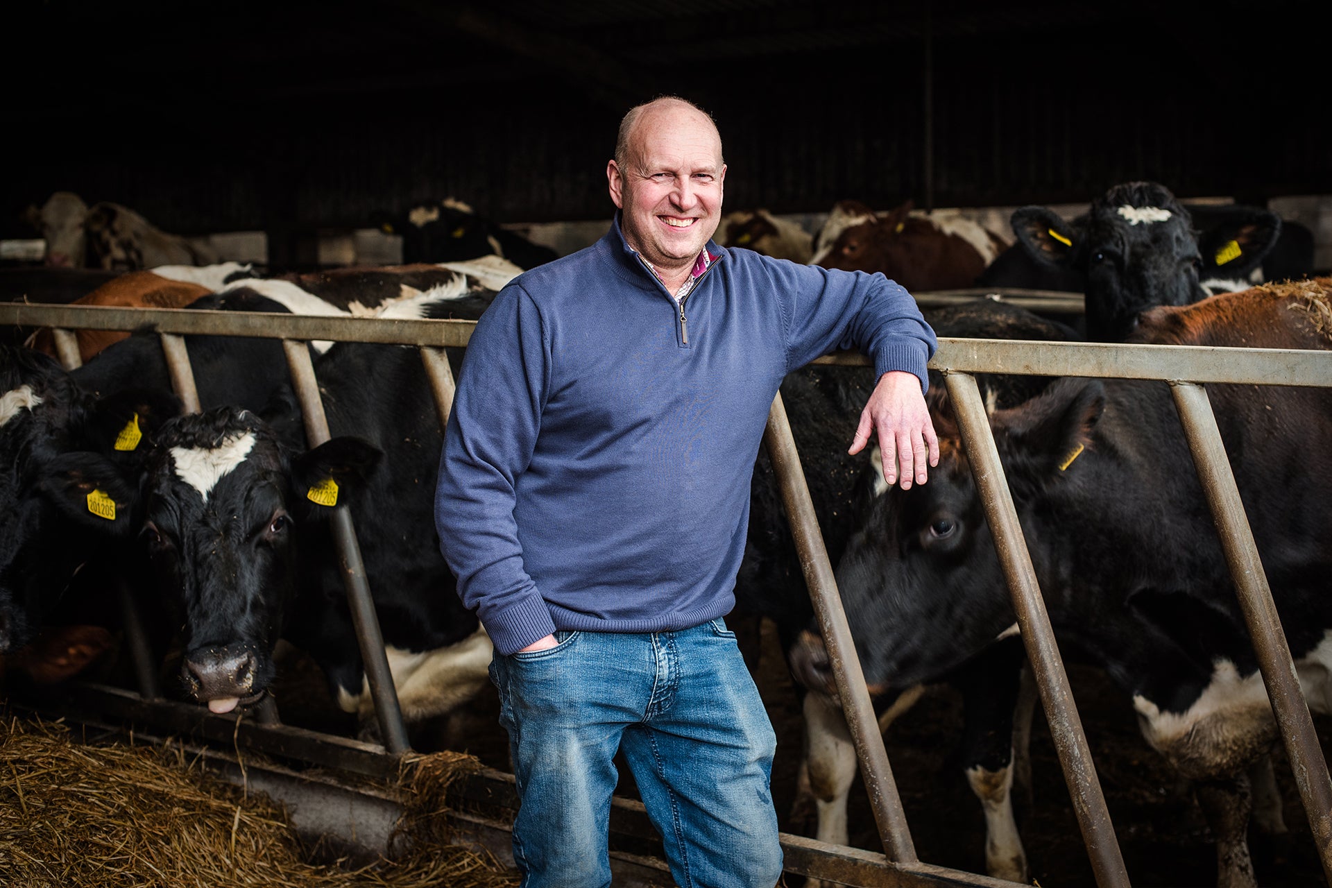 Local dairy producer on their farm